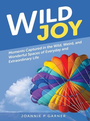 cover image of Wild Joy